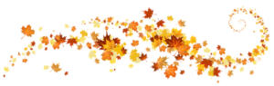 Autumn_Leaves_Decoration_PNG_Clipart_copy